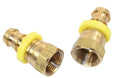 1/2" Female Swivel x 1/2" Hose Barb (2 pack)