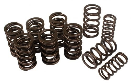 Racing Dual Valve Springs (Set of 8)